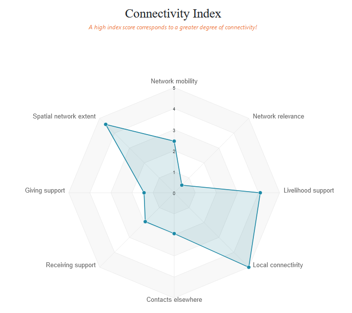 radar_chart_2